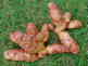 pink fir apple tubers
